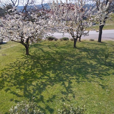 Daal Lägenhet Roč Exteriör bild