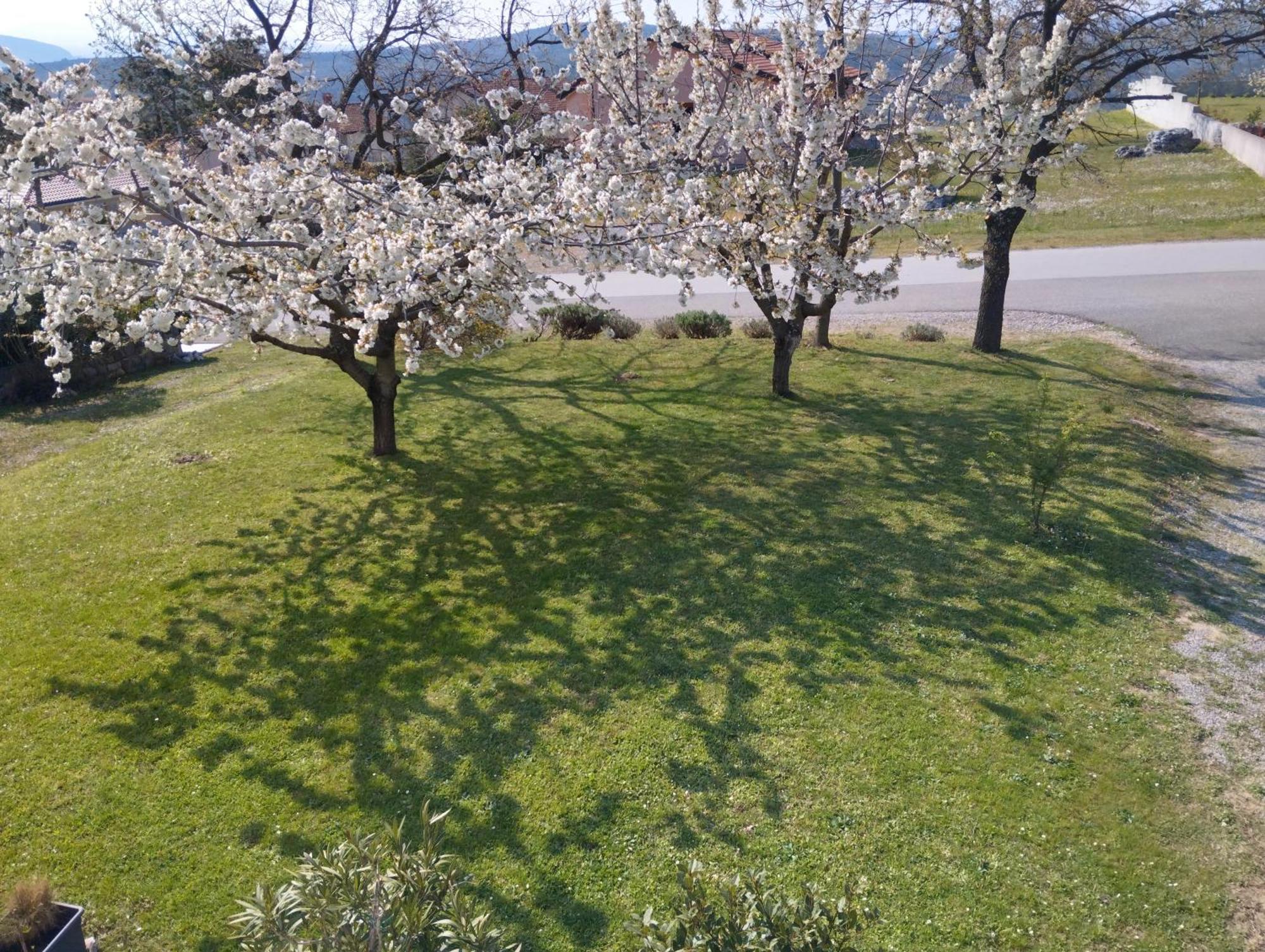 Daal Lägenhet Roč Exteriör bild